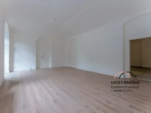 Pronájem obchodního prostoru, Praha - Karlín, Prvního pluku, 58 m2