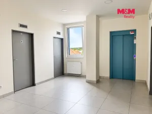 Pronájem kanceláře, Přeštice, Palackého, 72 m2