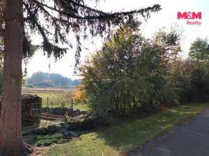Prodej louky, Petrovice - Obděnice, 7011 m2