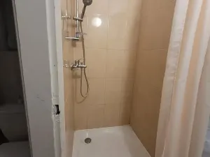 Pronájem bytu 1+1, Brno, Palackého třída, 43 m2