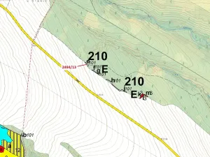Dražba lesa, Oslavany, 113 m2