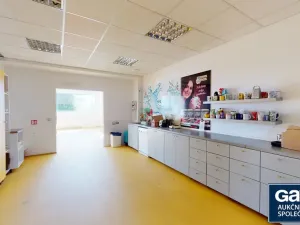 Pronájem kanceláře, Hostivice, Palouky, 400 m2