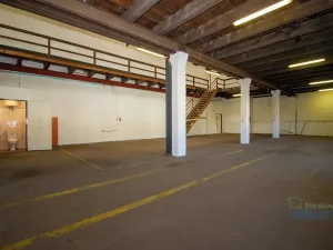 Pronájem výrobních prostor, Brandýs nad Labem-Stará Boleslav, 525 m2