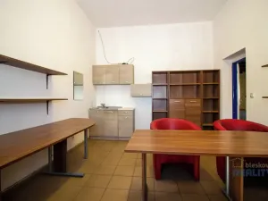 Pronájem skladu, Brandýs nad Labem-Stará Boleslav, 525 m2