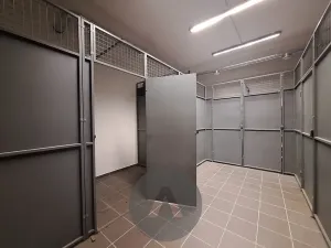 Pronájem bytu 2+kk, Brno, Rakovecká, 47 m2