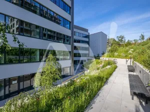 Pronájem kanceláře, Praha - Smíchov, Plzeňská, 350 m2