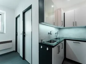 Prodej činžovního domu, Zbýšov, Na drahách, 360 m2