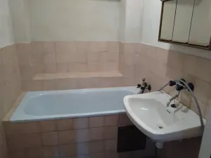 Prodej chalupy, Hlinná, 210 m2