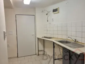 Pronájem bytu 1+1, Praha - Strašnice, Srbínská, 24 m2