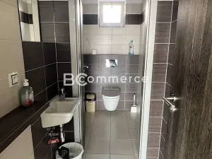 Pronájem obchodního prostoru, Pohořelice, 3700 m2