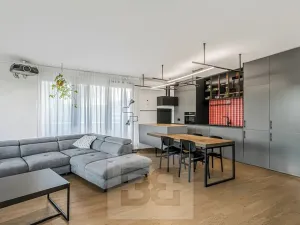 Prodej bytu 4+kk, Praha - Holešovice, V háji, 106 m2