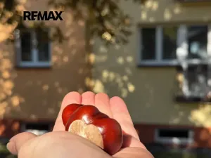 Prodej bytu 3+1, Klatovy, Rozvoj, 69 m2