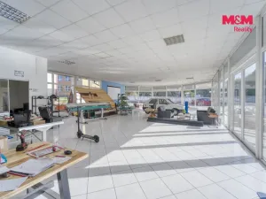 Prodej obchodního prostoru, Toužim, Plzeňská, 561 m2