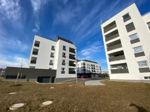 Pronájem bytu 2+kk, Opava - Předměstí, Kačírkova, 54 m2