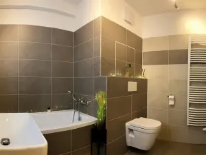 Pronájem bytu 2+kk, Opava - Předměstí, Kačírkova, 54 m2
