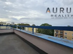 Pronájem bytu 4+1, Praha - Břevnov, Na Petřinách, 105 m2
