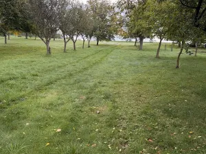 Prodej chaty, Líšná, 40 m2