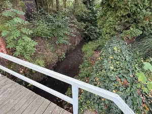 Prodej chalupy, Líšná, 90 m2