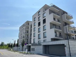 Pronájem bytu 4+kk, Ostrava, F. X. Riepla, 114 m2