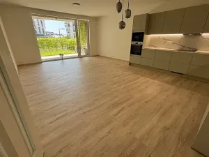 Pronájem bytu 4+kk, Ostrava, F. X. Riepla, 114 m2