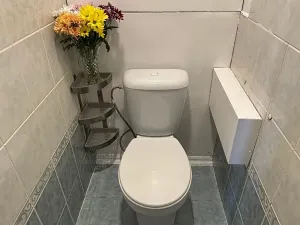 Pronájem bytu 3+1, Ostrava, Zelená, 65 m2