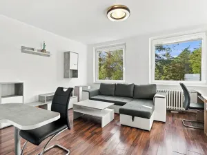 Prodej bytu 1+kk, Ústí nad Labem, Vinařská, 32 m2