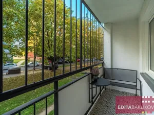Pronájem bytu 1+1, Olomouc, Družební, 36 m2