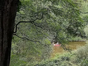 Prodej chaty, Krňany - Třebsín, 24 m2