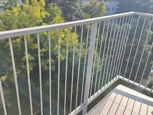 Pronájem bytu 2+1, Praha - Žižkov, Pod lipami, 55 m2