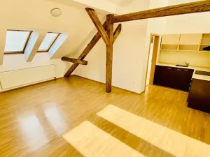Pronájem bytu 2+kk, Brno, Ptašínského, 53 m2