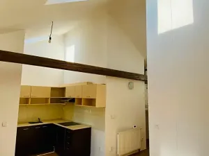 Pronájem bytu 2+kk, Brno, Ptašínského, 53 m2