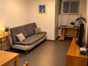 Prodej bytu 1+kk, Brno, Letní, 20 m2