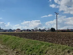 Prodej podílu pole, Podluhy, 12741 m2