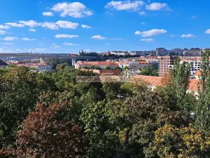 Pronájem bytu 1+kk, Praha - Nusle, Boleslavova, 35 m2