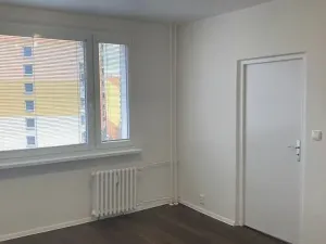 Prodej bytu 1+1, Chomutov, 17. listopadu, 36 m2