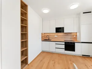 Pronájem bytu 1+kk, Praha - Břevnov, Pod Drinopolem, 41 m2