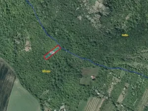 Prodej lesa, Třebenice, 1475 m2
