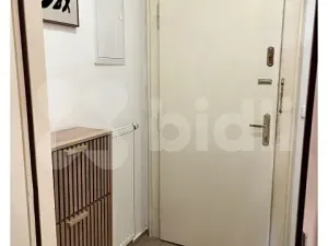 Pronájem bytu 1+kk, Praha - Vinohrady, Slezská, 45 m2