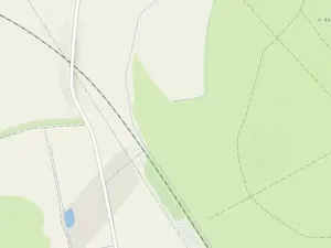 Prodej lesa, Poděbrady, 5736 m2