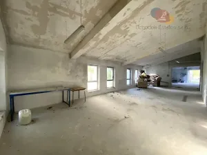 Prodej výrobních prostor, Dívčí Hrad, 4972 m2