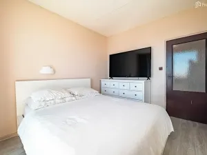 Prodej bytu 2+1, Blížkovice, 55 m2