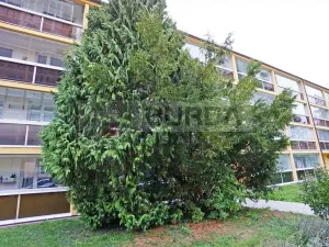 Pronájem bytu 3+1, Neratovice, 68 m2