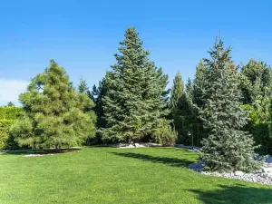 Prodej kanceláře, Velké Přítočno, 350 m2