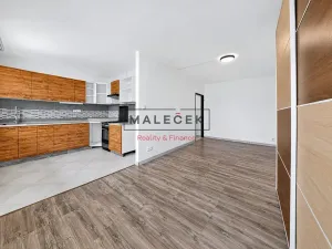 Prodej bytu 2+1, Slaný, Arbesova, 52 m2