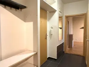 Pronájem bytu 2+1, Praha - Žižkov, Spojovací, 49 m2
