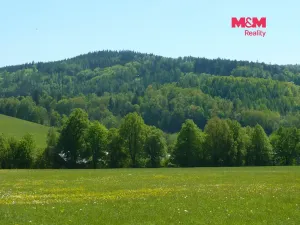 Prodej louky, Vysoká Srbská, 26090 m2