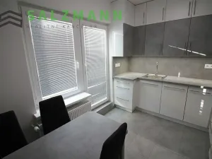 Pronájem bytu 2+1, Plzeň, Koperníkova, 67 m2