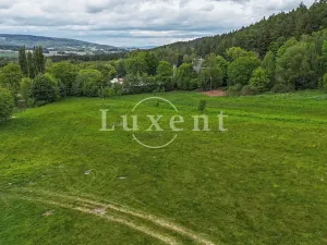 Prodej komerčního pozemku, Lipnice nad Sázavou, 38008 m2