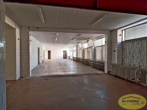 Pronájem obchodního prostoru, Litovel, Novosady, 501 m2