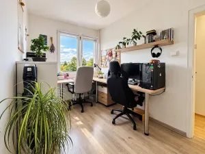 Prodej bytu 3+kk, Pardubice, Nová, 58 m2